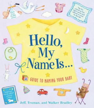 Cover of the book Hello, My Name Is... by Karen Adler, Judith Fertig
