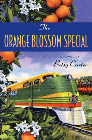 Cover of the book The Orange Blossom Special by Caroline Leavitt