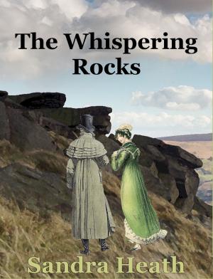 Cover of the book The Whispering Rocks by Marcy Stewart