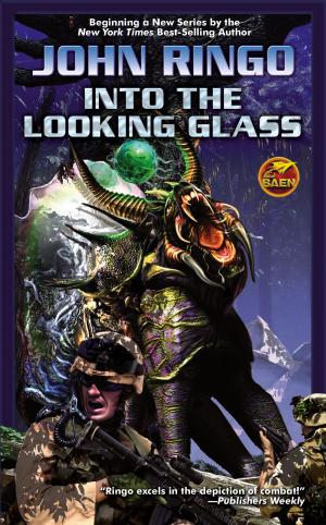 Cover of the book Into the Looking Glass by David Drake