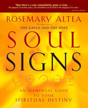 Book cover of Soul Signs