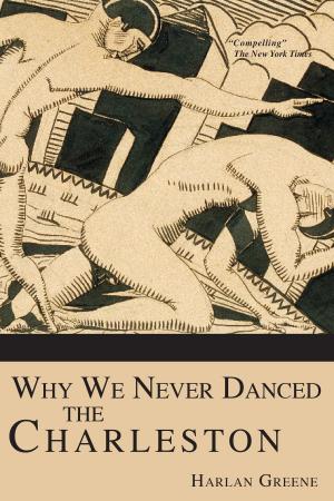 Book cover of Why We Never Danced the Charleston