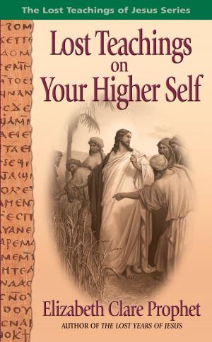 Cover of the book Lost Teachings on Your Higher Self by Marilyn C. Barrick Ph.D.