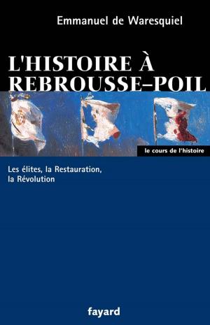 Cover of the book L'histoire à rebrousse-poil by Alain Touraine, François Dubet, Didier Lapeyronnie