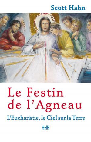 Cover of the book Le festin de l'agneau by Sylvain Potvin