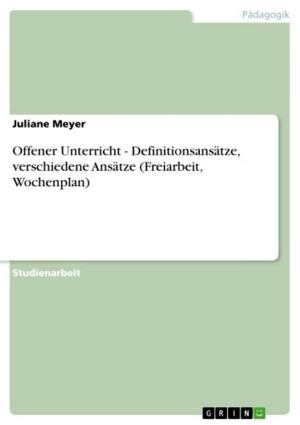 Cover of the book Offener Unterricht - Definitionsansätze, verschiedene Ansätze (Freiarbeit, Wochenplan) by Michael Watterott