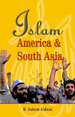 Cover of the book Islam, America & South Asia by F. A. Ryan