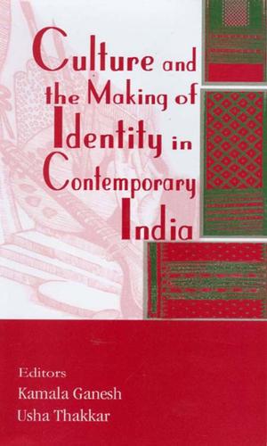 Cover of the book Culture and the Making of Identity in Contemporary India by Willard H. Richardson