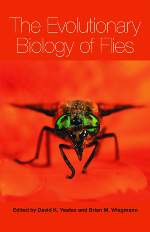 Cover of the book The Evolutionary Biology of Flies by , Columbia University Press