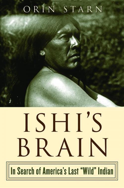 Cover of the book Ishi's Brain: In Search of the Last "Wild" Indian by Orin Starn, W. W. Norton & Company