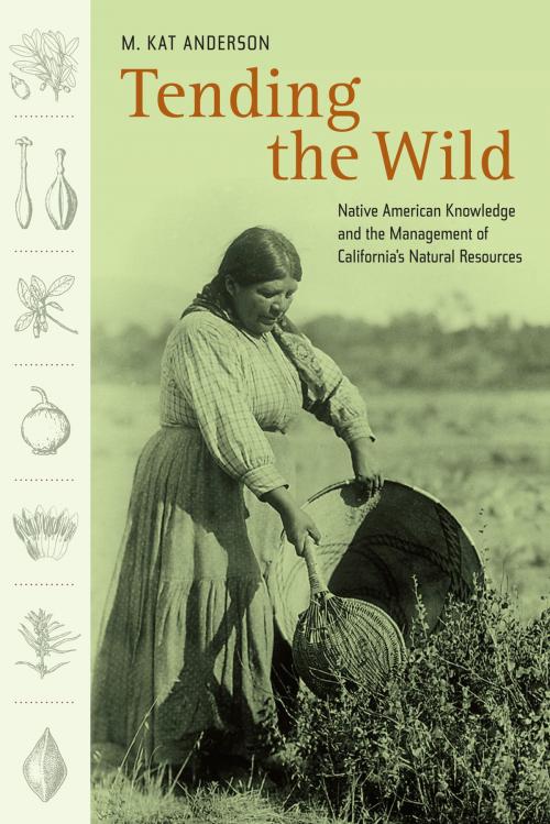 Cover of the book Tending the Wild by M. Kat Anderson, University of California Press