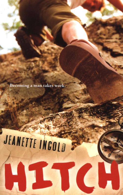 Cover of the book Hitch by Jeanette Ingold, HMH Books