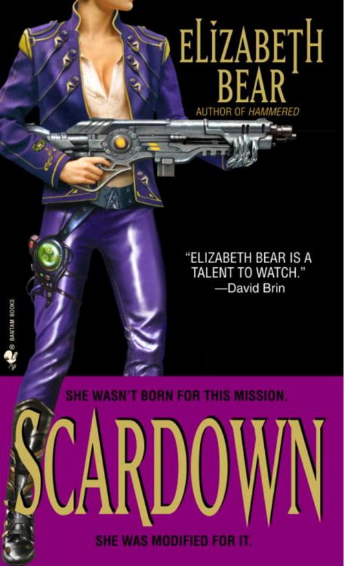 Cover of the book Scardown by Elizabeth Bear, Random House Publishing Group
