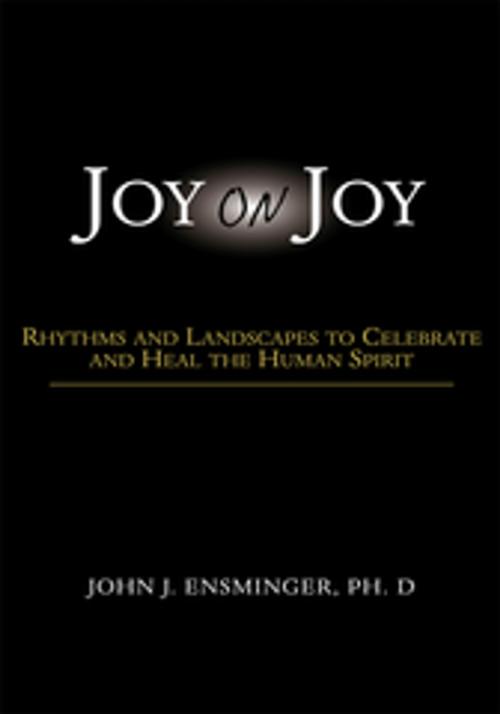 Cover of the book Joy on Joy by John J. Ensminger, Xlibris US