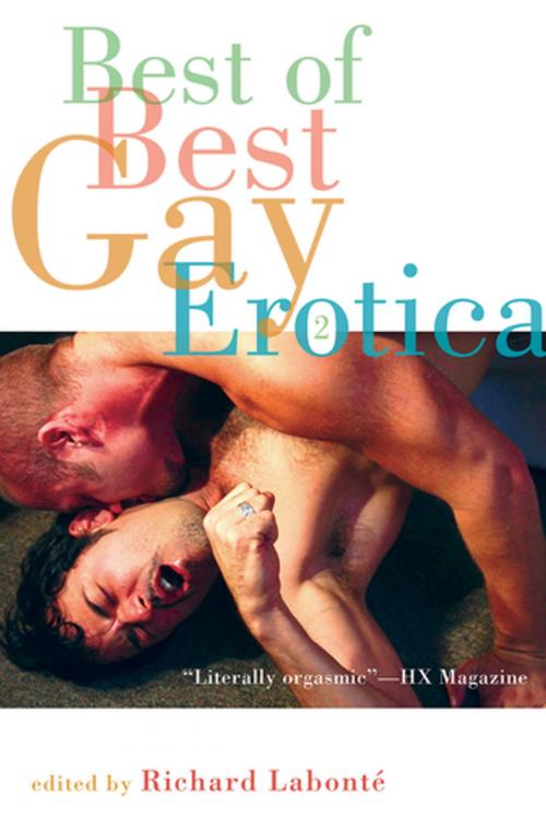 Cover of the book Best of Best Gay Erotica 2 by , Cleis Press