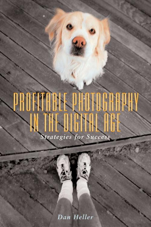 Cover of the book Profitable Photography in Digital Age by Dan Heller, Allworth