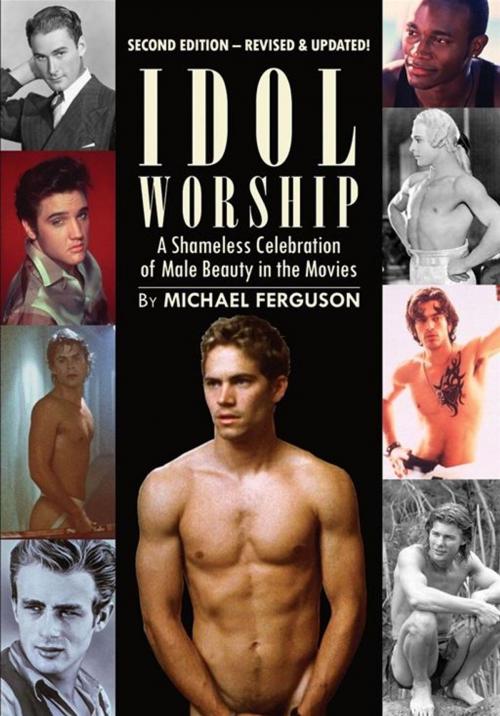 Cover of the book Idol Worship by Michael Ferguson, STARbooks Press