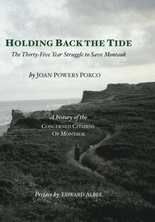 Cover of the book Holding Back the Tide by Joan Powers Porco, Harbor Electronic Publishing