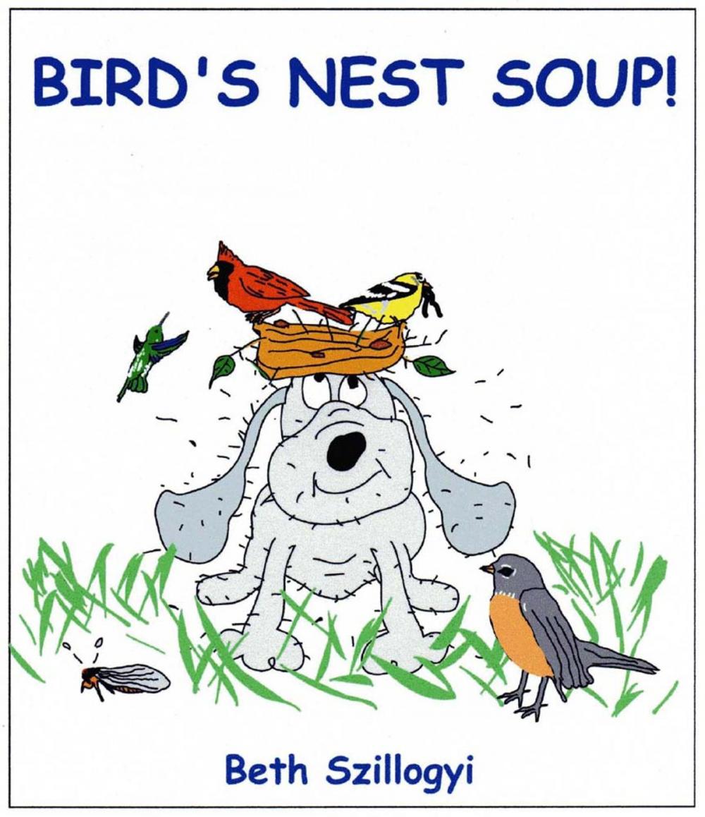 Big bigCover of Bird's Nest Soup