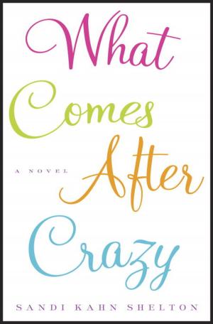 Cover of the book What Comes After Crazy by Amy Leigh McCorkle