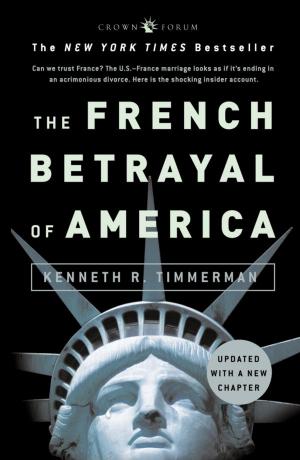 Cover of the book The French Betrayal of America by Margaret Silf