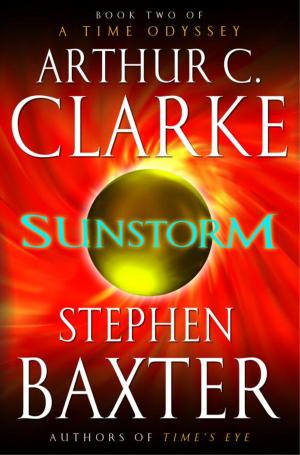 Cover of the book Sunstorm by Mary Daheim