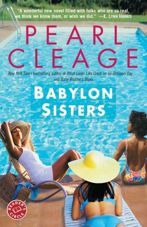 Cover of the book Babylon Sisters by George Bishop