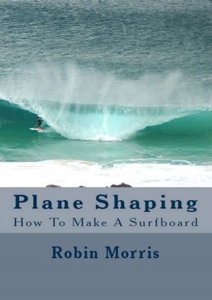 Book cover of Plane Shaping