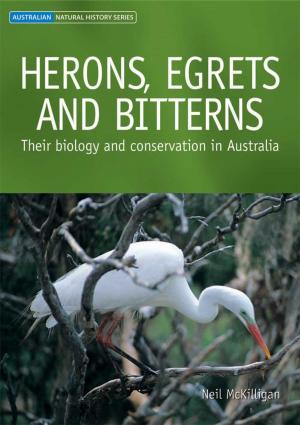 Cover of the book Herons, Egrets and Bitterns by David Rees