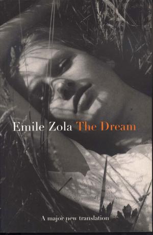 Cover of the book The Dream by Elizabeth Morgan