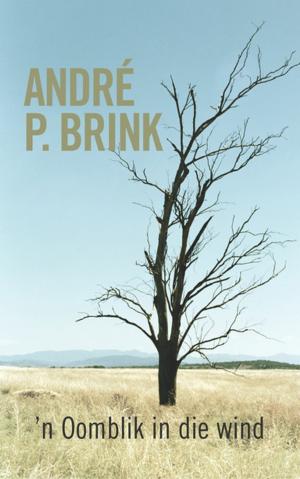 Cover of the book 'n Oomblik in die wind by Christine le Roux