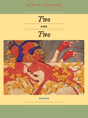 Cover of the book Two And Two by Suzanne Greenberg