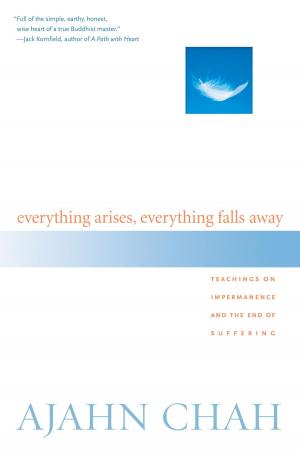 Cover of the book Everything Arises, Everything Falls Away by Kabir Helminski