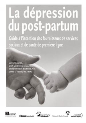 Cover of the book La dépression du post-partum by Project