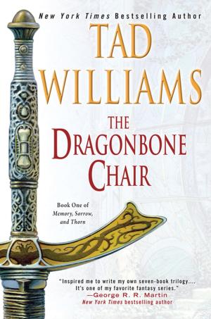 Cover of the book The Dragonbone Chair by Marjorie B. Kellogg