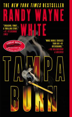 Cover of the book Tampa Burn by Jim Butcher, Kat Richardson, Simon R. Green, Thomas E. Sniegoski