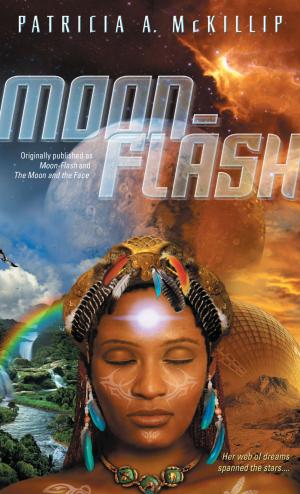 Cover of the book Moon-Flash by Ethan Long
