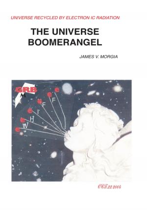 Cover of the book The Universe Boomerangel by Aliza Yazdani