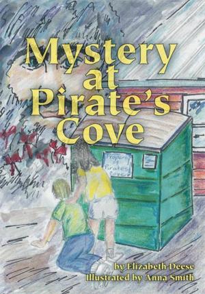 Cover of the book Mystery at Pirate's Cove by Ali Najjar-Khatirkolaei