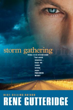 Cover of the book Storm Gathering by Candace Calvert