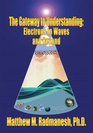 Cover of the book The Gateway to Understanding by Persia McLeod