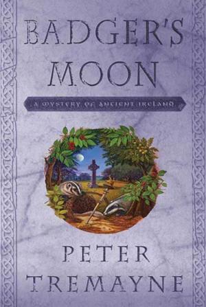 Cover of the book Badger's Moon by Jenna Black