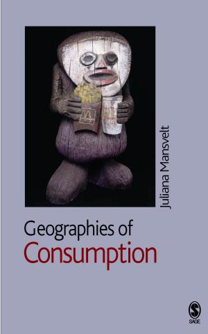 bigCover of the book Geographies of Consumption by 