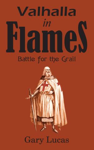Cover of the book Valhalla in Flames by Martin Stone, Spencer Strauss