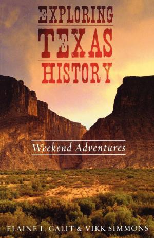 Cover of the book Exploring Texas History by Nic van Oudtshoorn
