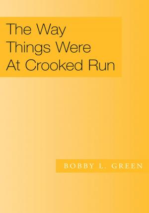 Cover of the book The Way Things Were at Crooked Run by Steve Foreman