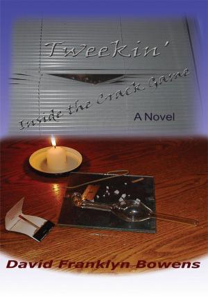 Cover of the book Tweekin' by Kfir Luzzatto
