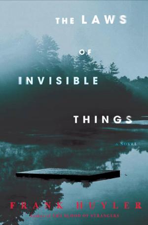 Cover of the book The Laws of Invisible Things by Jean Edward Smith