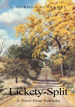 Cover of the book Lickety-Split by Minnie P. Harmon