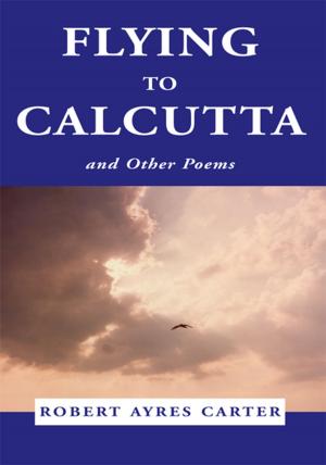 Book cover of Flying to Calcutta